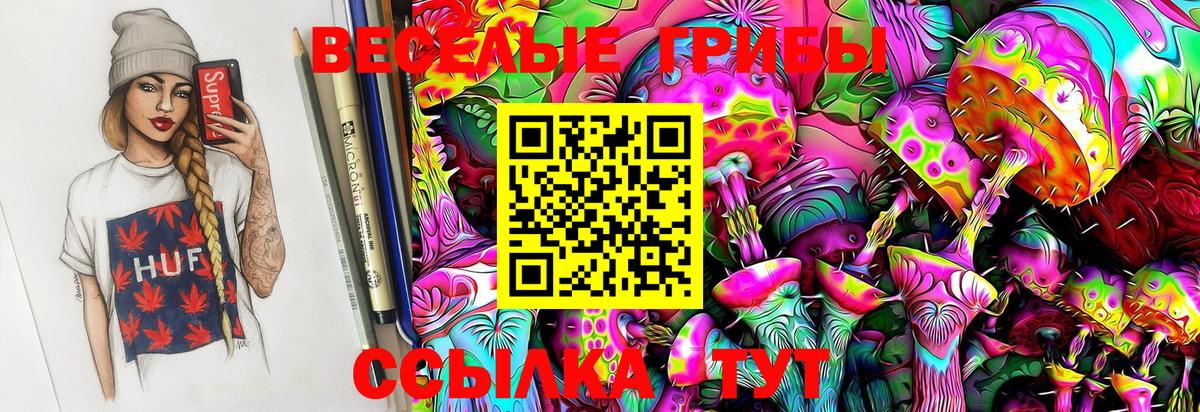Якутск  Псилоцибиновые грибы GOLDEN TEACHER  Псилоцибиновые грибы Magic Shrooms  Вход с VPN 