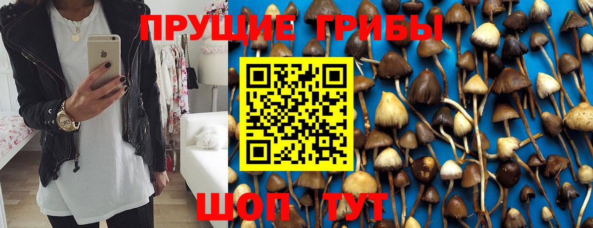 Псилоцибиновые грибы мухоморы Якутск